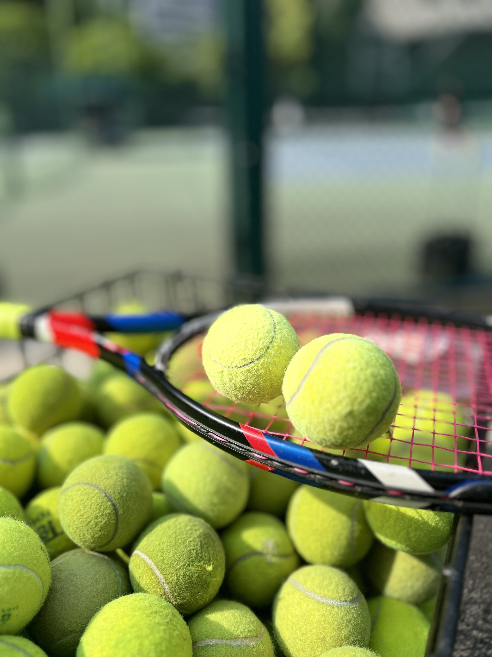 未来发展奠 未来发展奠