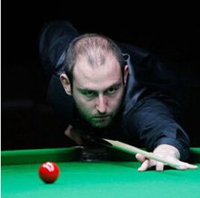 说明了他的 说明了他的